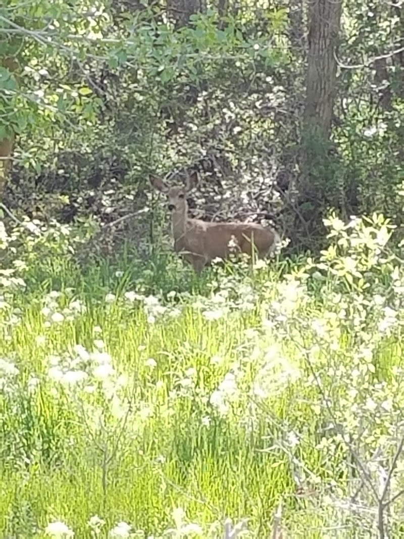Payson City Bike Path photo 3