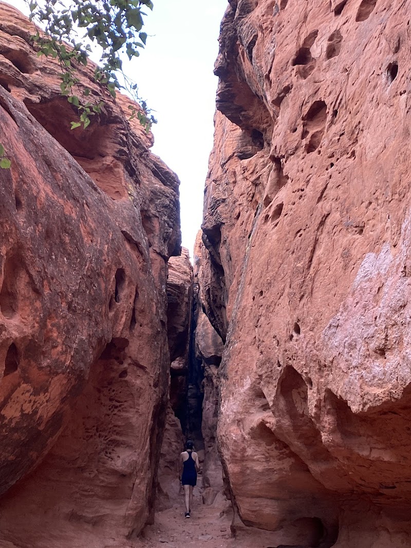 Pioneer Park photo 2