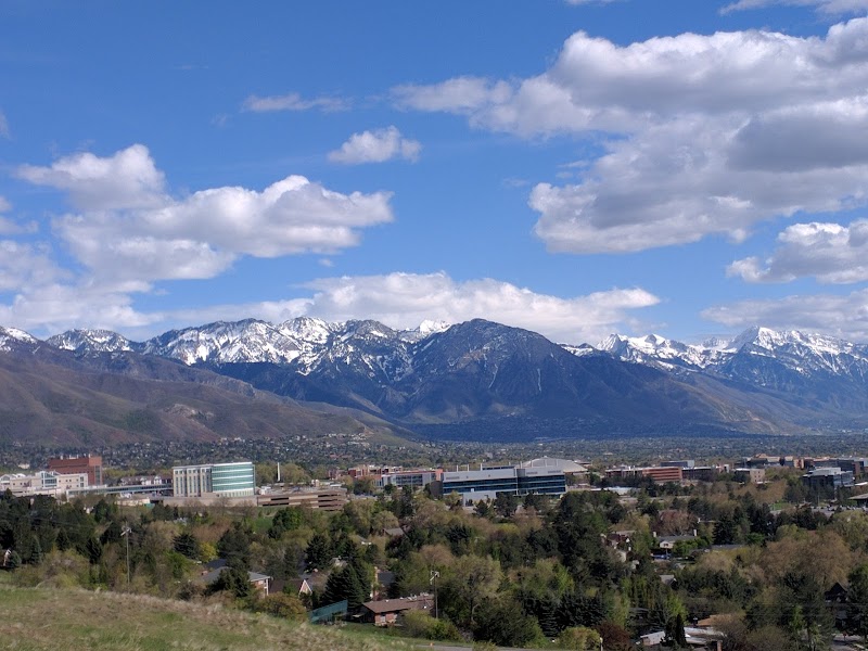 Popperton Park photo 2