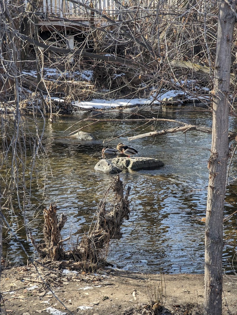 Provo River Park photo 2
