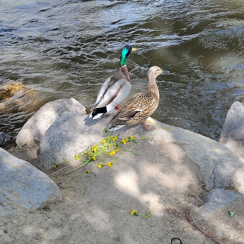 Provo River Park photo 3
