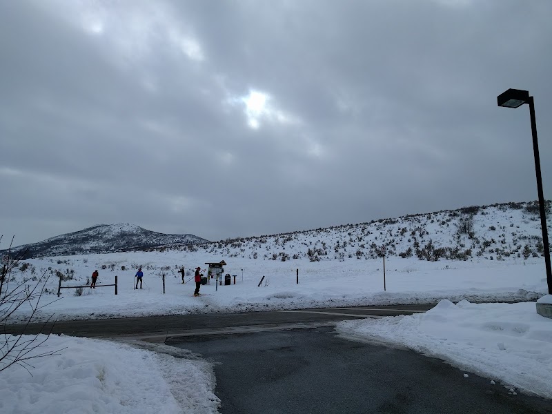 Quinns Sportex photo 3