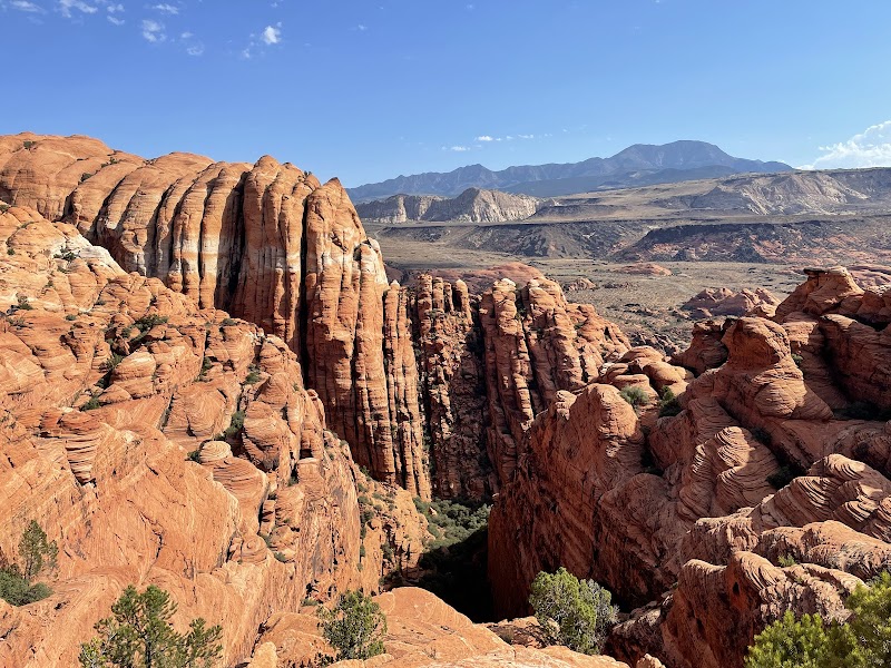 Red Cliffs National Conservation Area photo 2