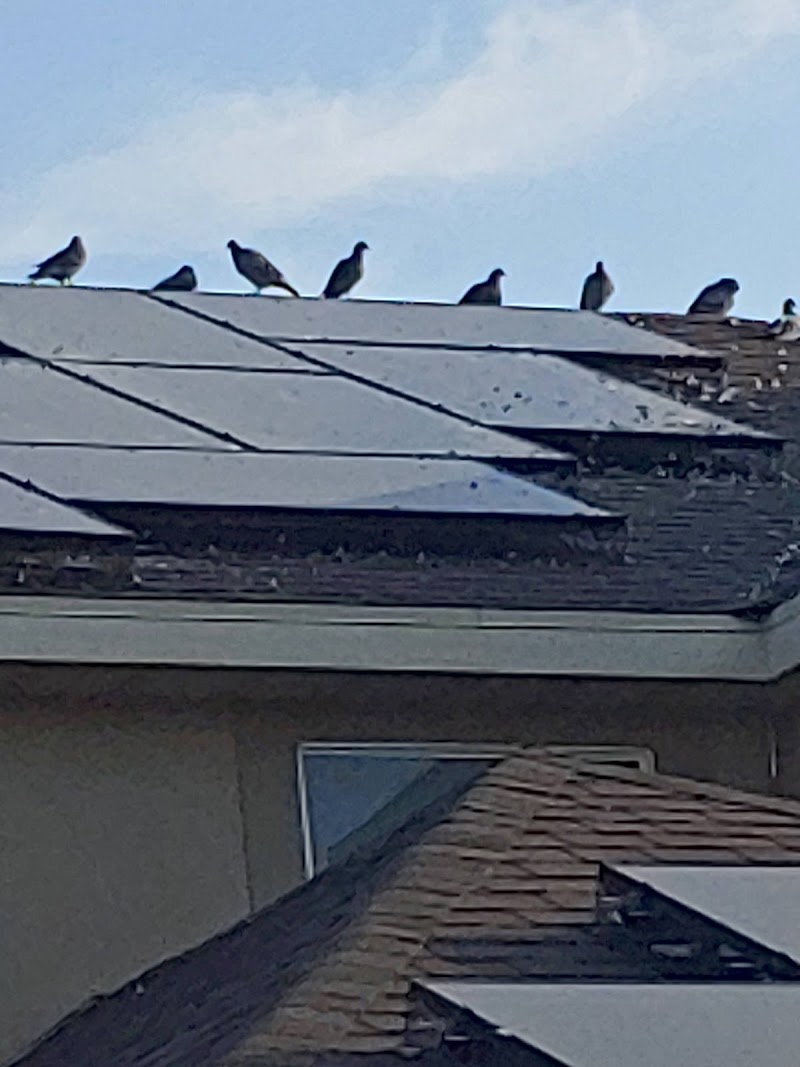 Regatta Park photo 3