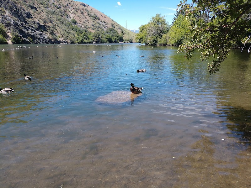 River Hollow Park photo 3