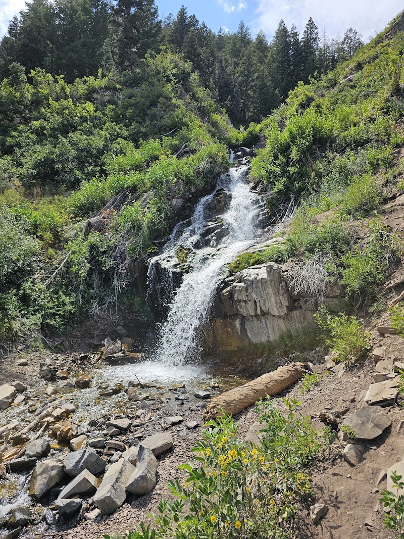 Salt Creek Canyon Trail Falls photo 2