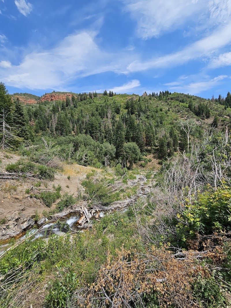 Salt Creek Canyon Trail Falls photo 3