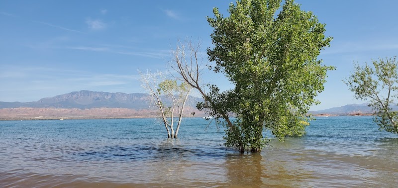 Sand Hollow Island photo 3