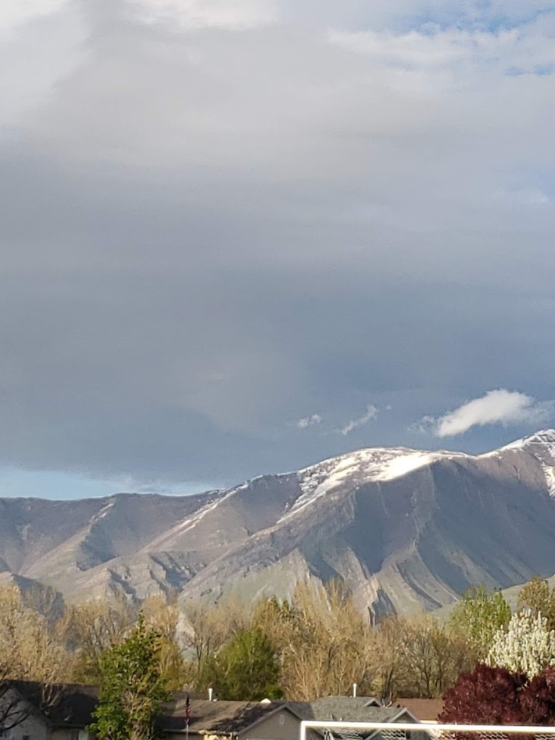 Sandhill Park photo 3