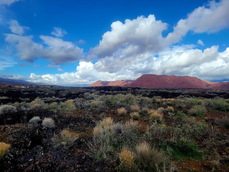 Santa Clara Arboretum