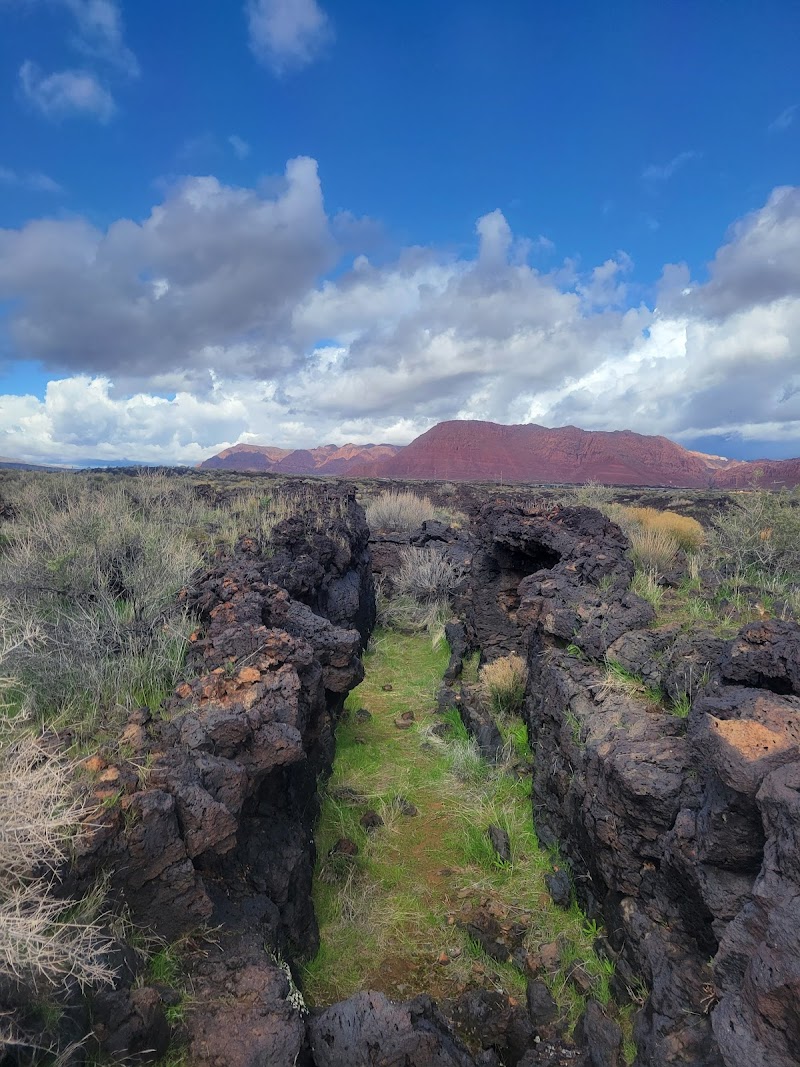 Santa Clara Arboretum photo 2