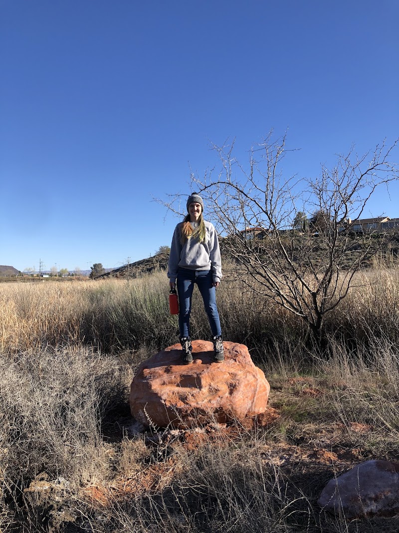 Santa Clara Arboretum photo 3