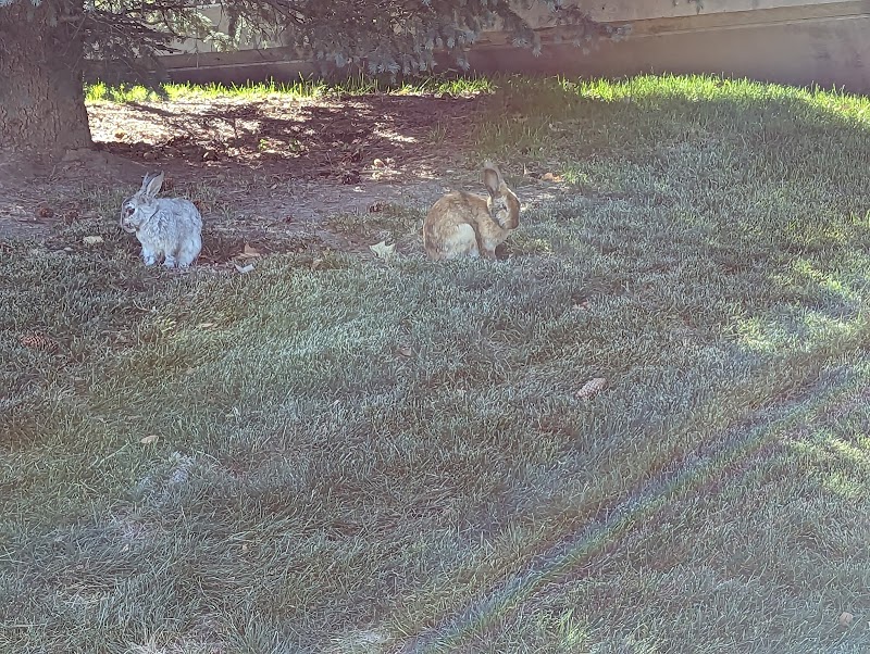 Scottsdale Park photo 2