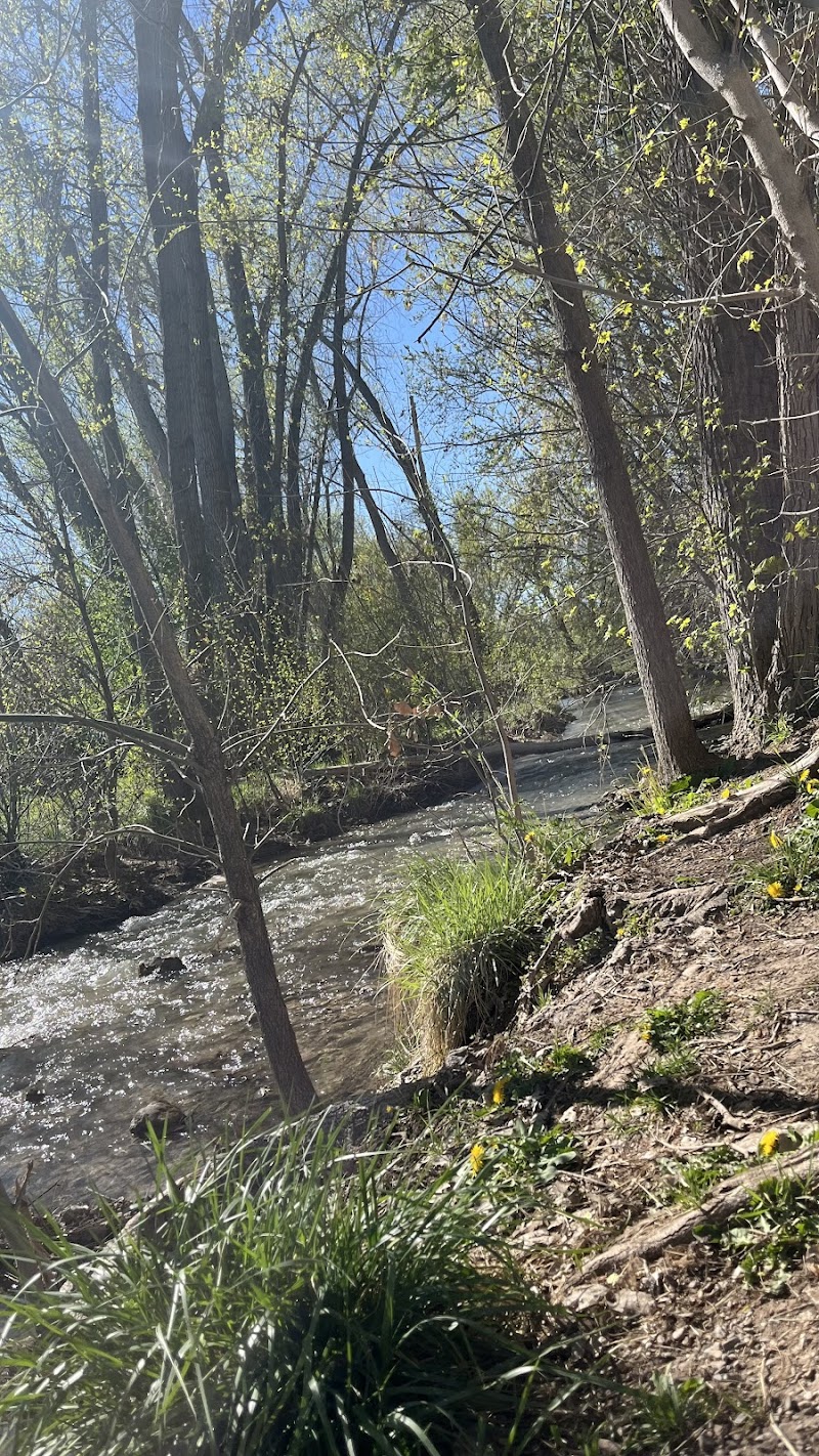 Sego Lily Pavilion photo 2