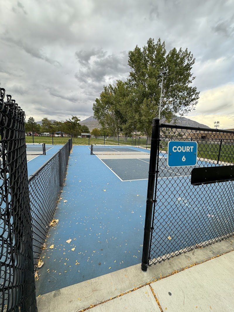 Sharon Park Pickleball Courts photo 3
