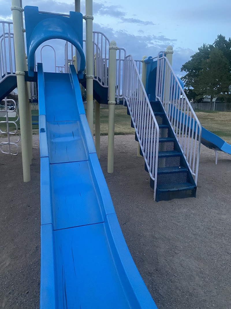 Sheltie Morgan Park photo 2