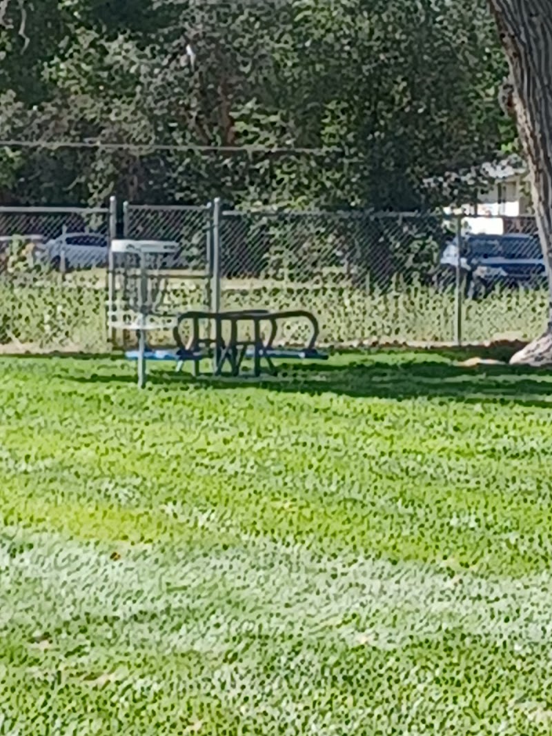 Sheltie Morgan Park photo 3