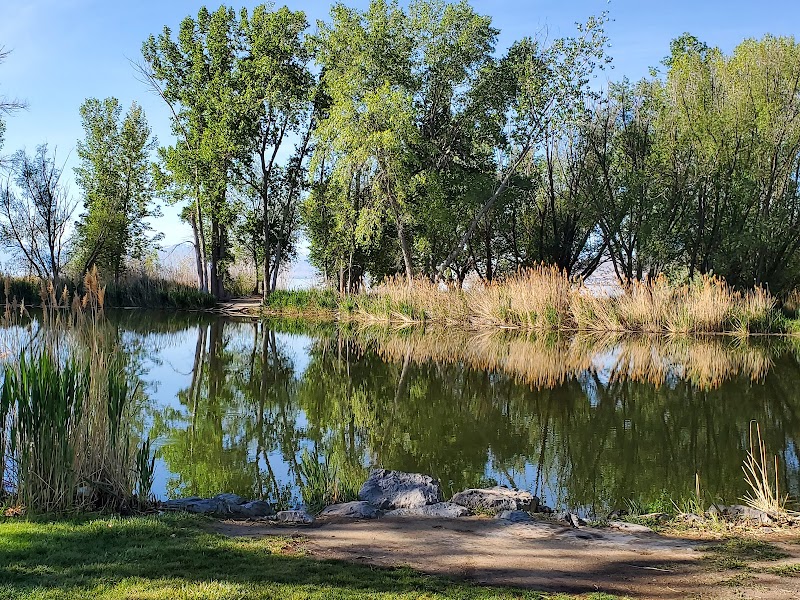 Shoreline Park photo 2