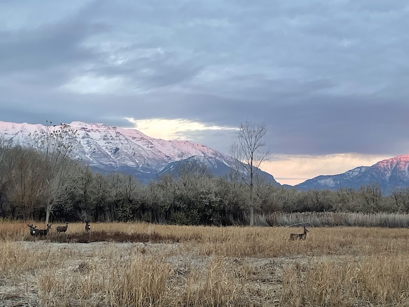 Shoreline Park photo 3