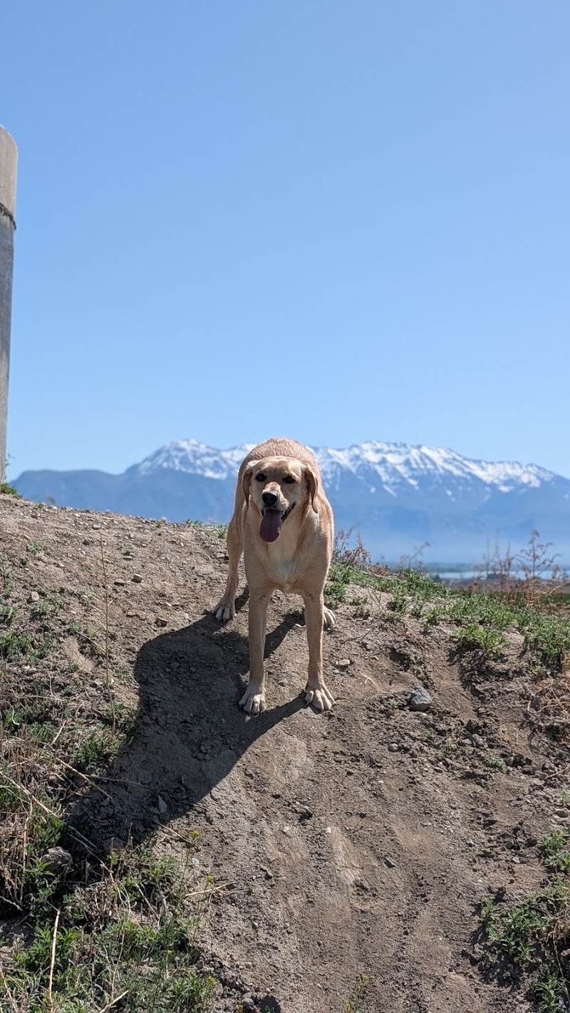 Silver Lake Woodhaven Park photo 3