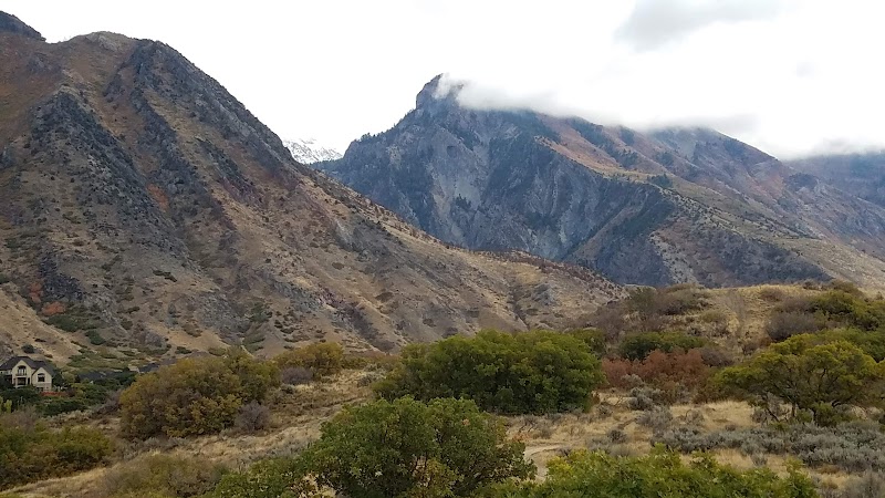 Silver Leaf Park photo 3