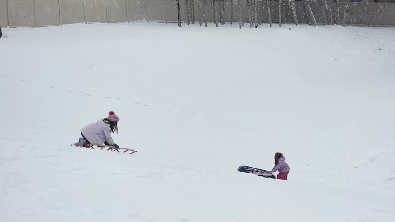 Silver Leaf Park photo 3