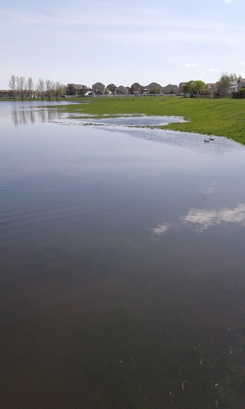 Skyview Basin Park photo 3