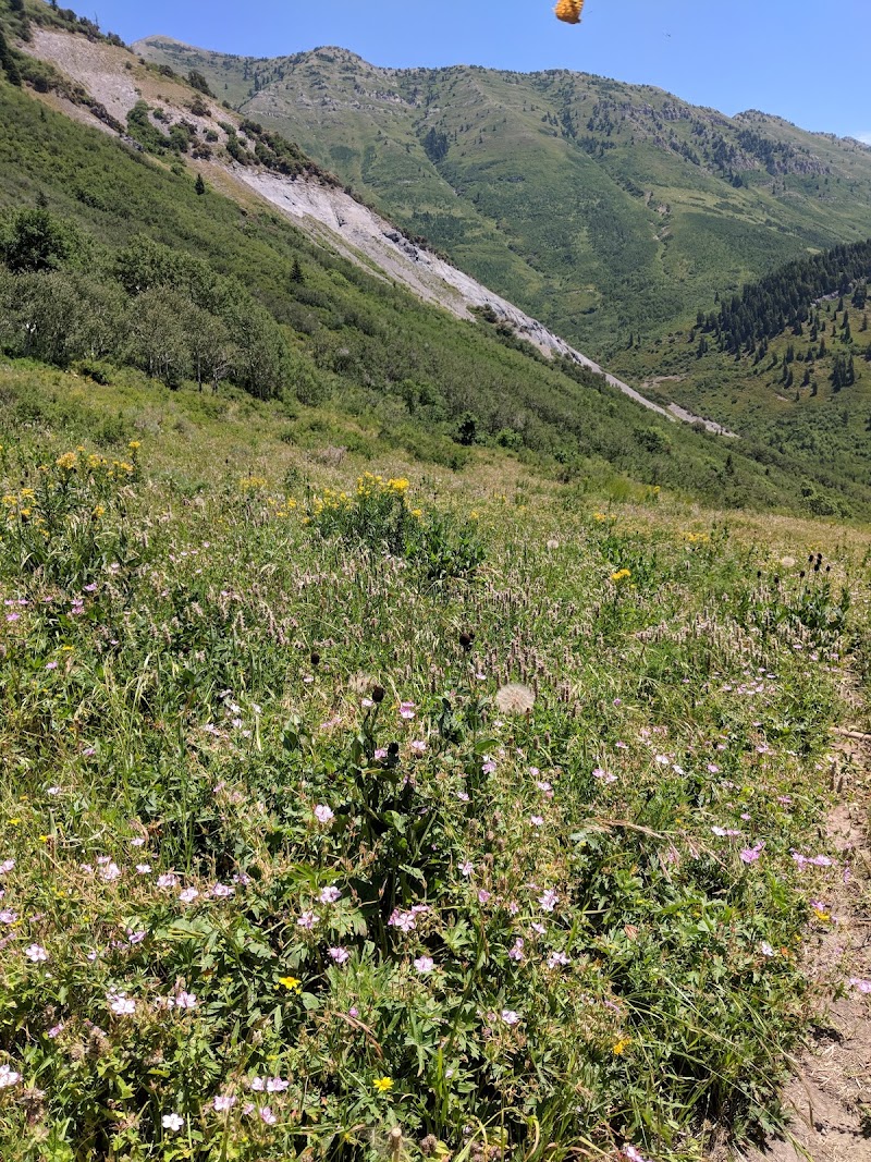 Slate Canyon Park photo 3