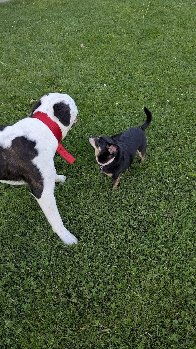 Spring Glen Community Park photo 2