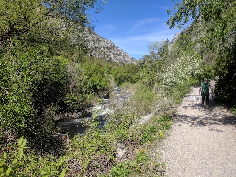 Stokes Nature Center photo 3
