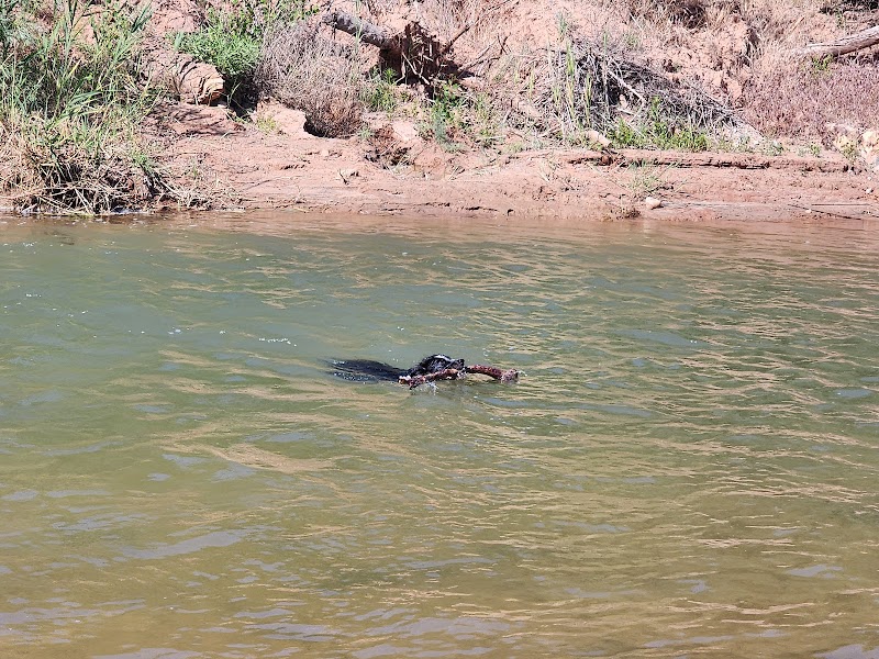 Sunrise Valley Park photo 2