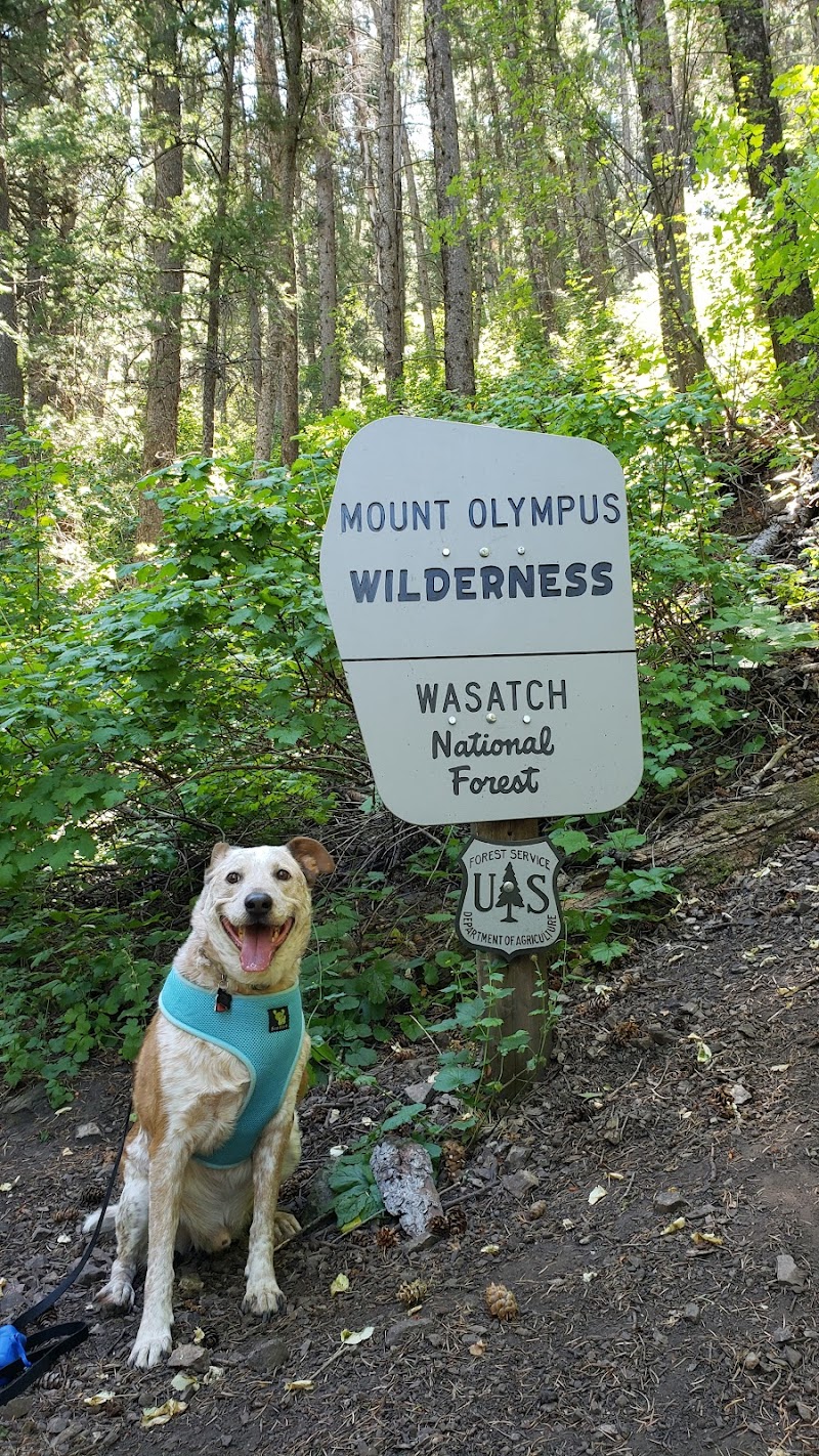 Terrace Picnic Area photo 2