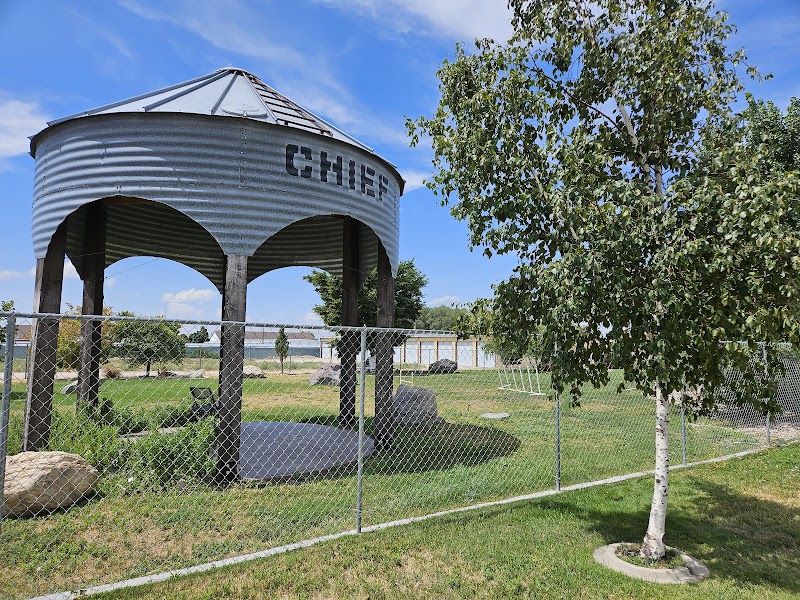 The Barking Lot photo 3