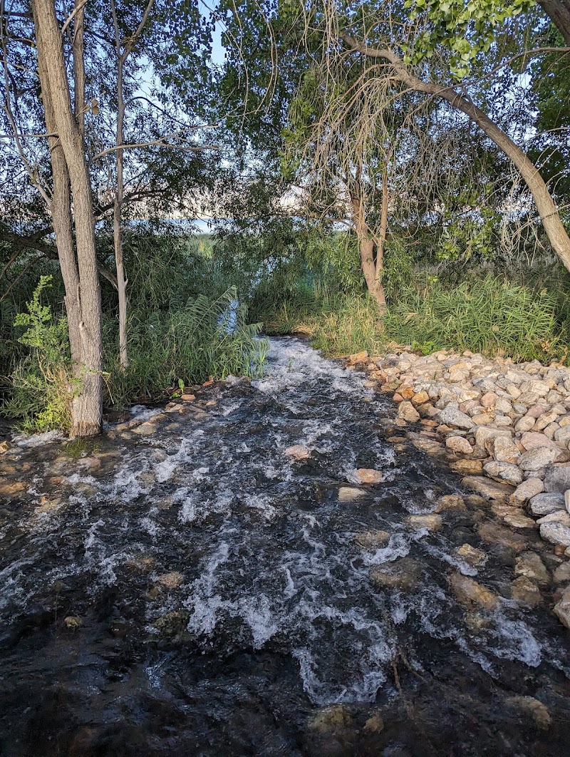 The Springs Community Park photo 2