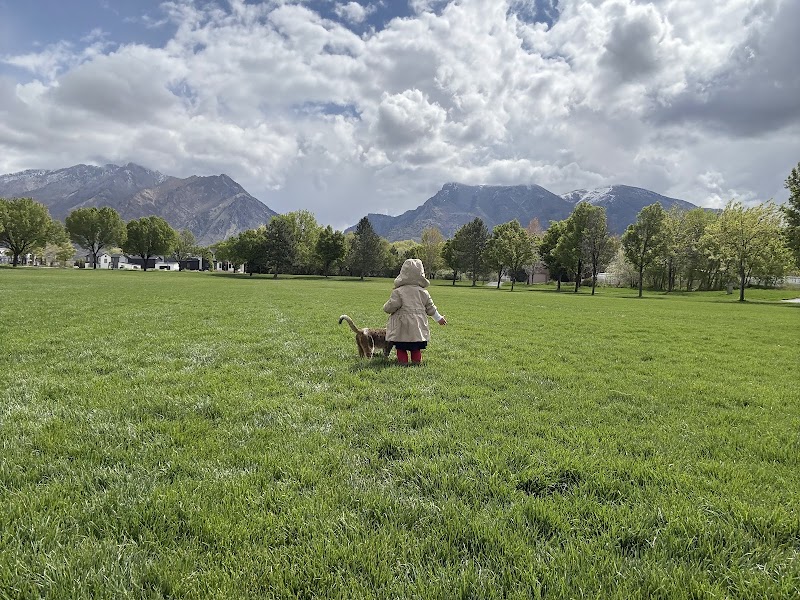 Town Center Meadows Park photo 2