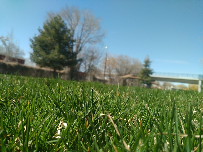 Train Watch Park photo 3