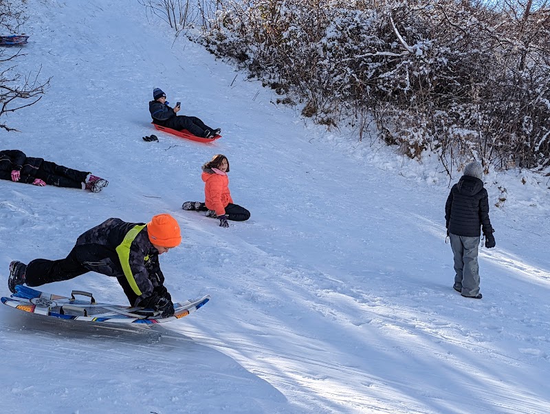 Twin Hollow Park (Cheese Park)