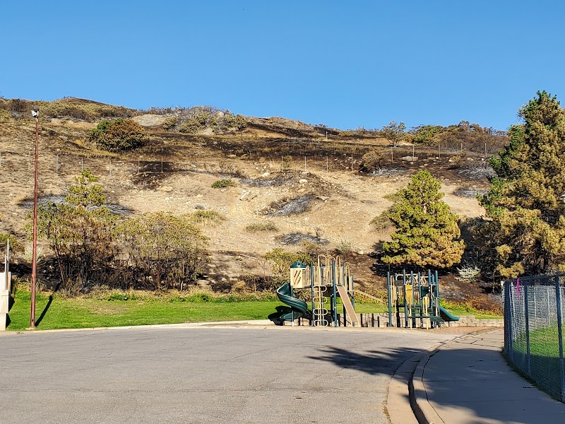 Twin Hollow Park (Cheese Park) photo 3