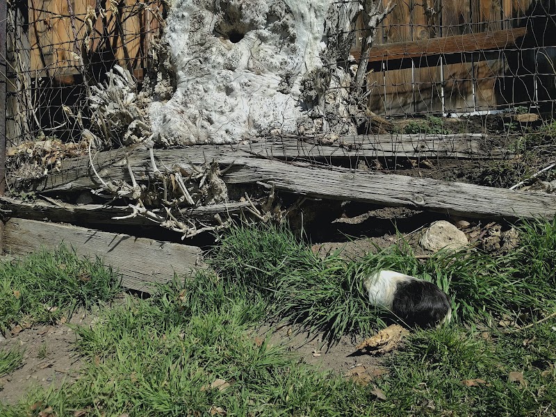 Victory Park photo 3