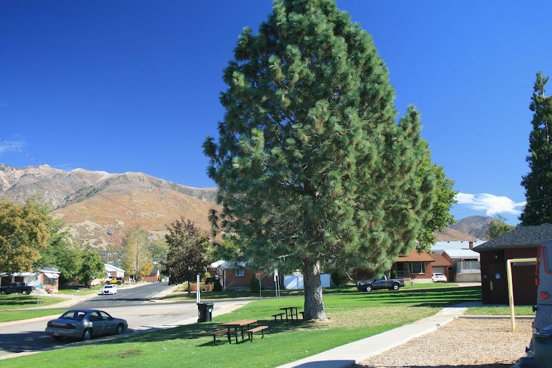 Victory Park photo 3