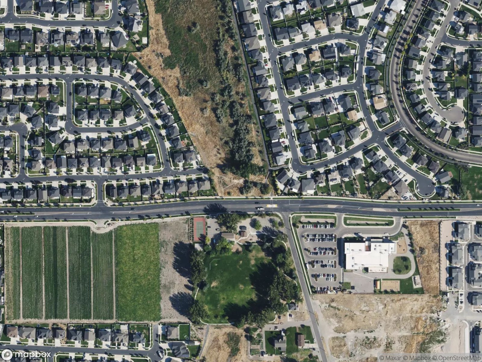 Vineyard Mountain Bike Park