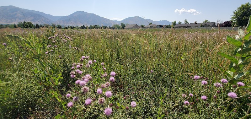 Virgil Gibbons Heritage Park photo 3