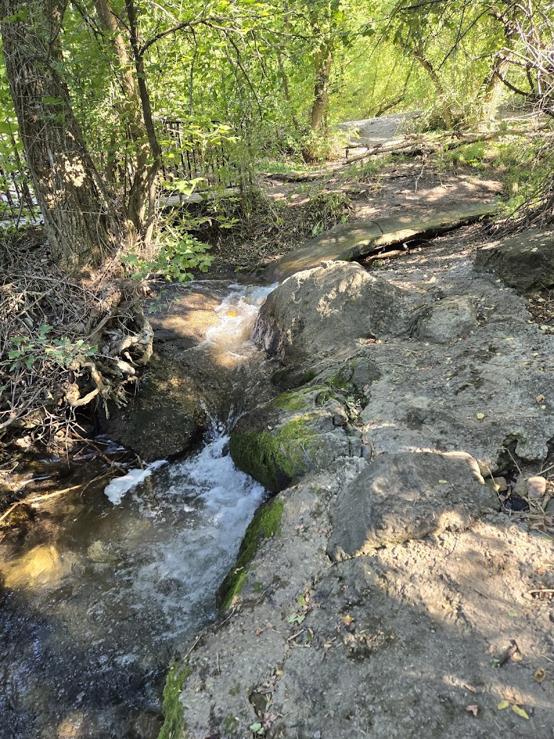 Von Baer Park photo 2