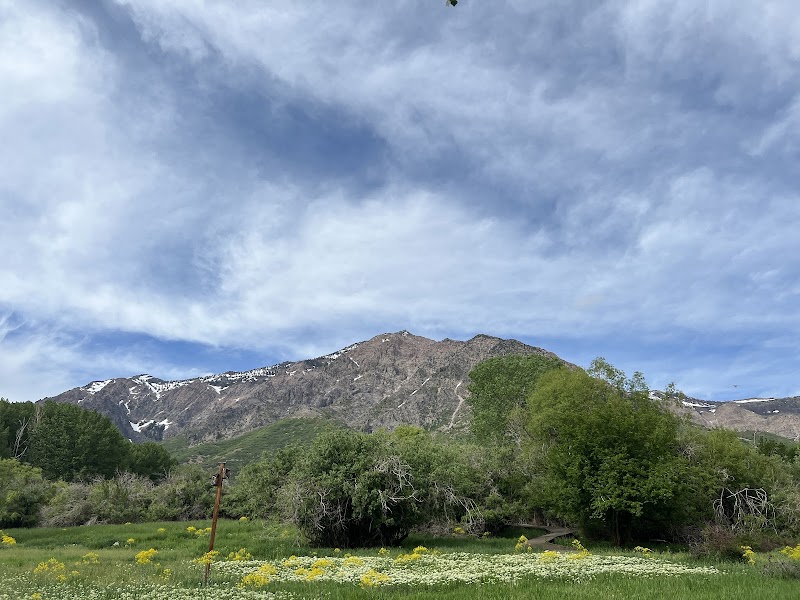 Wadman Nature Park photo 2