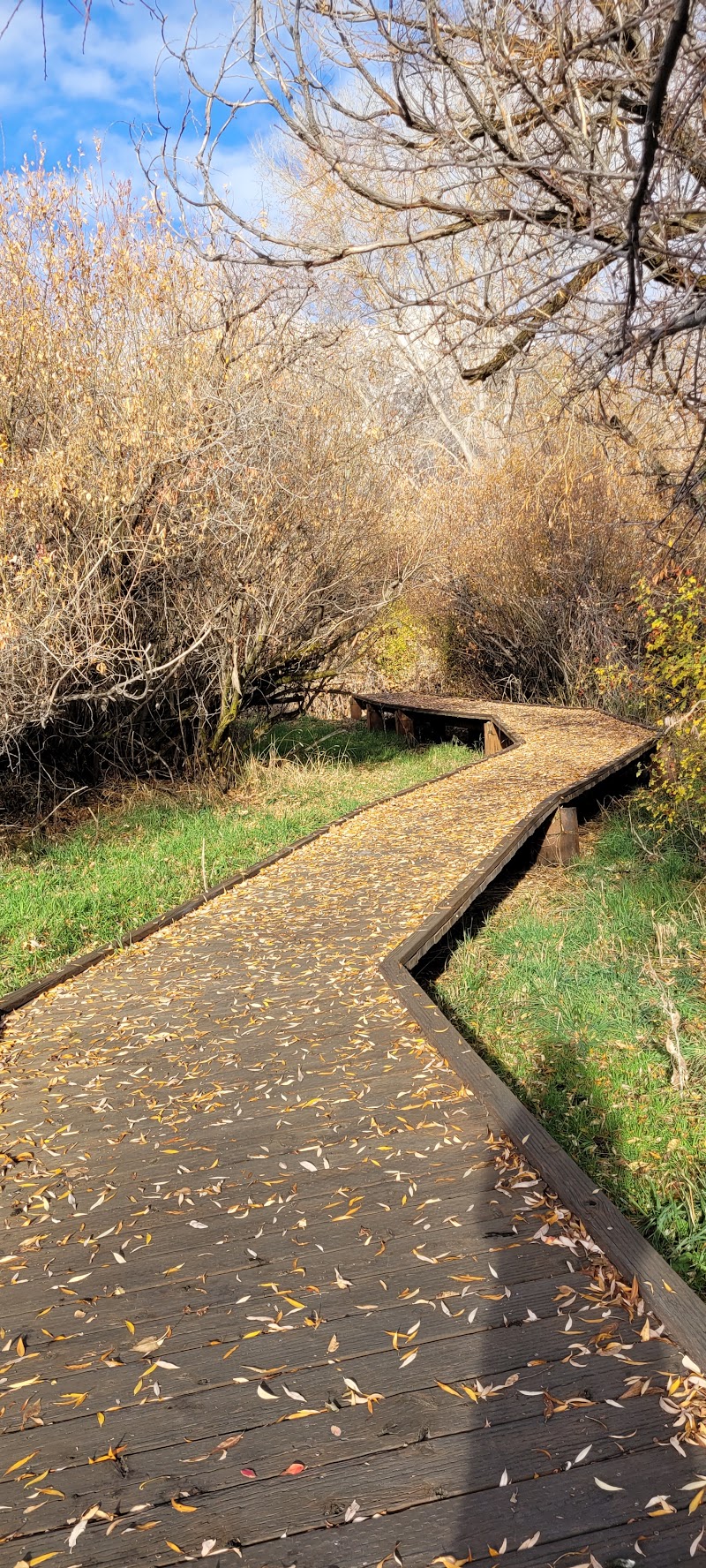 Wadman Nature Park photo 3