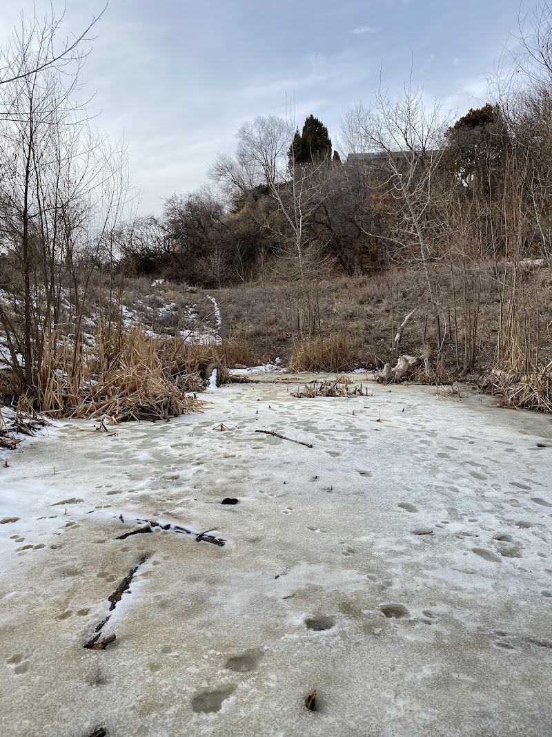 Wasatch Hollow Preserve photo 3