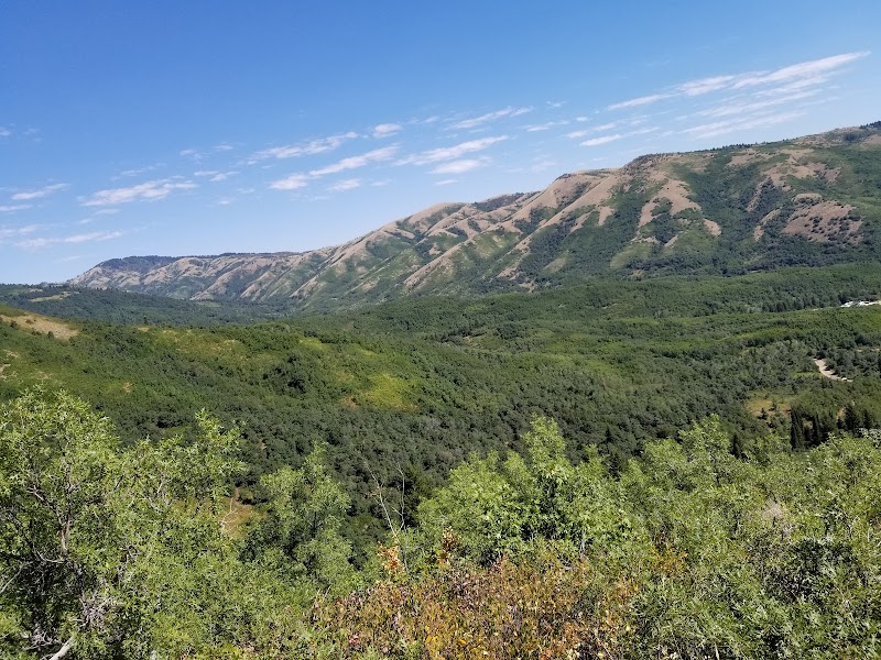 Weber County North Fork Park photo 2