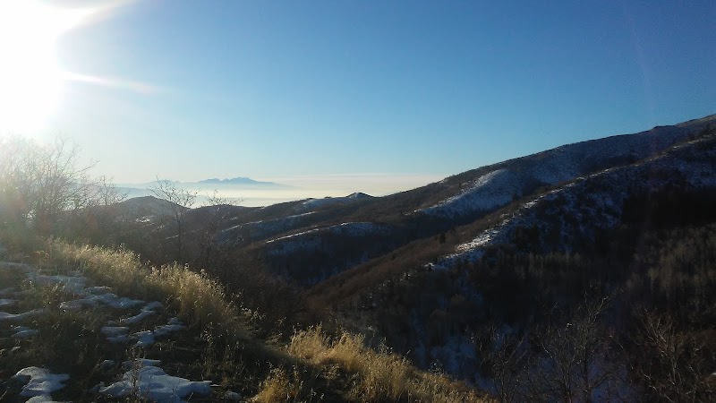 Western Springs Central Park photo 3