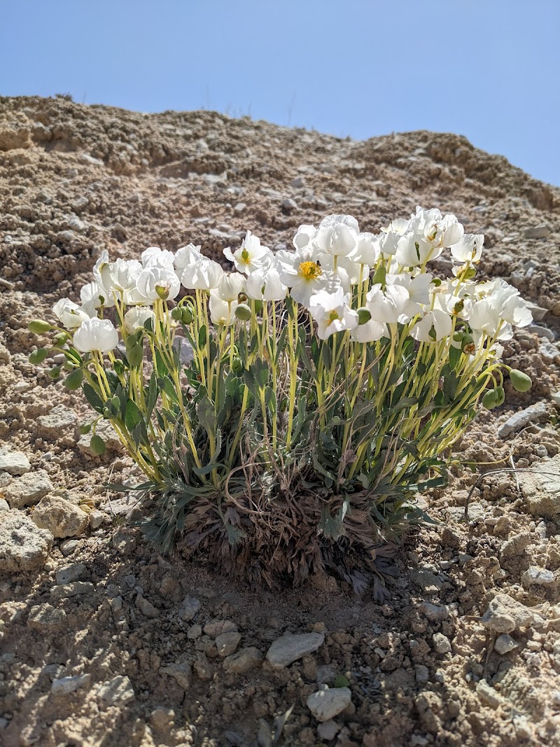 White Dome Nature Preserve