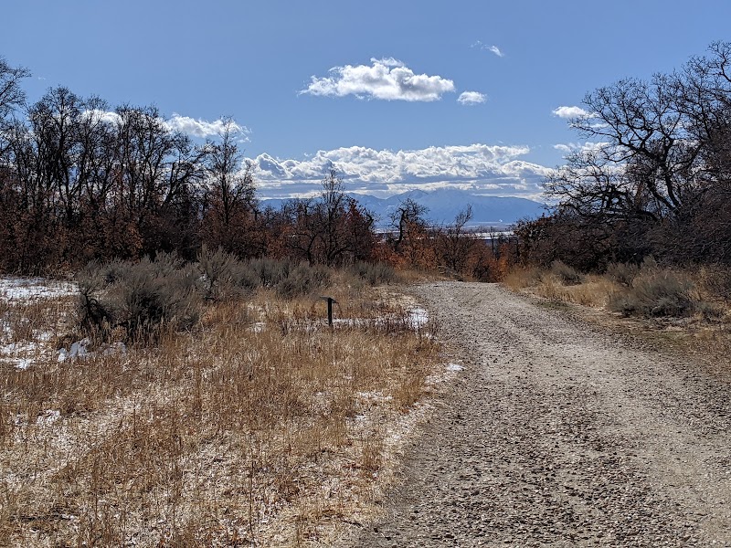 Wilderness Park Trail